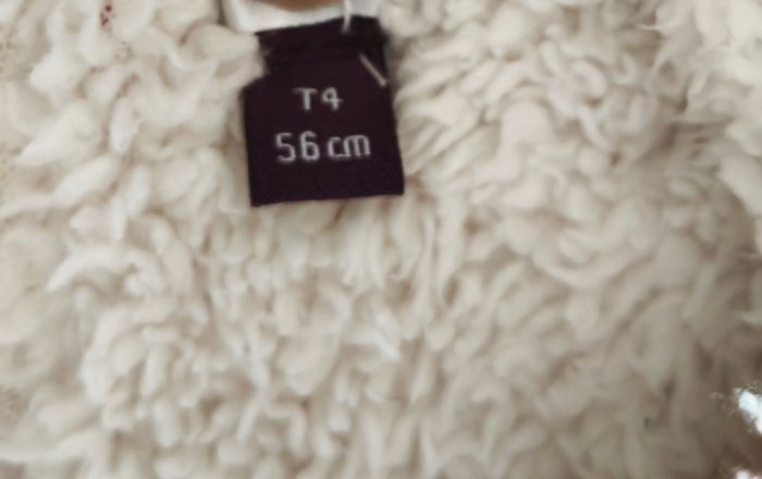 Bonnet rouge - photo numéro 3