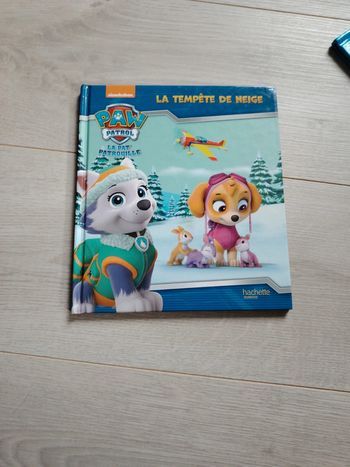 Livre Pat patrouille