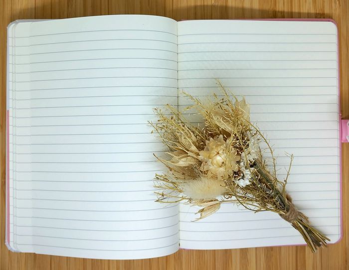 Journal Intime Chat - photo numéro 7