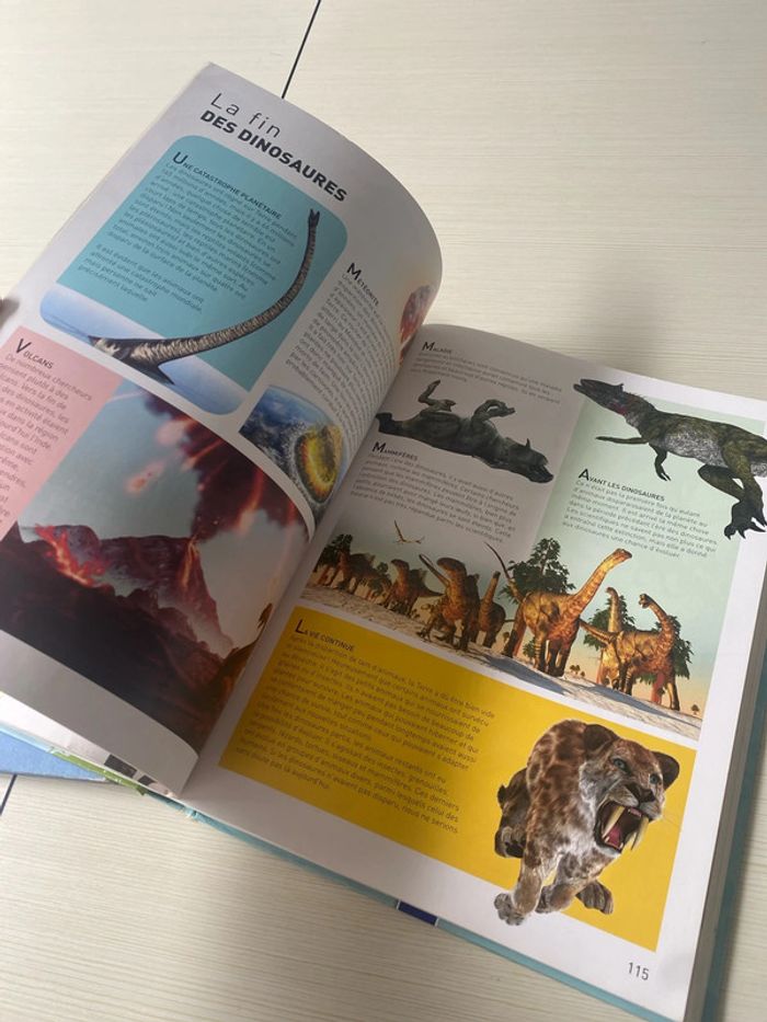 Mon premier atlas et livre dinosaures - photo numéro 4