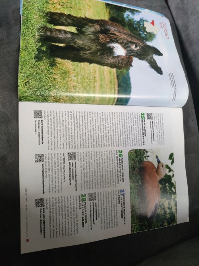 Magazine 30 millions d'amis numéro 386 été juillet août 2020 - photo numéro 5