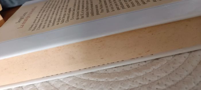 Livre la stratégie du bouffon - photo numéro 3