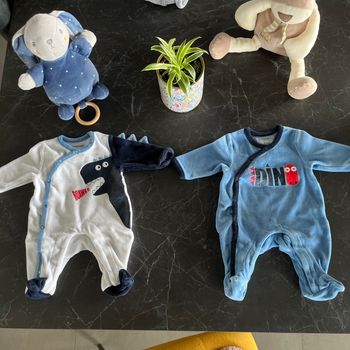 2 pyjamas dinosaure naissance