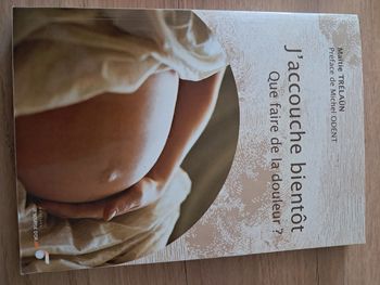 J’accouche bientôt. Que faire de la douleur ? Maïtie TRÉLAÜN
