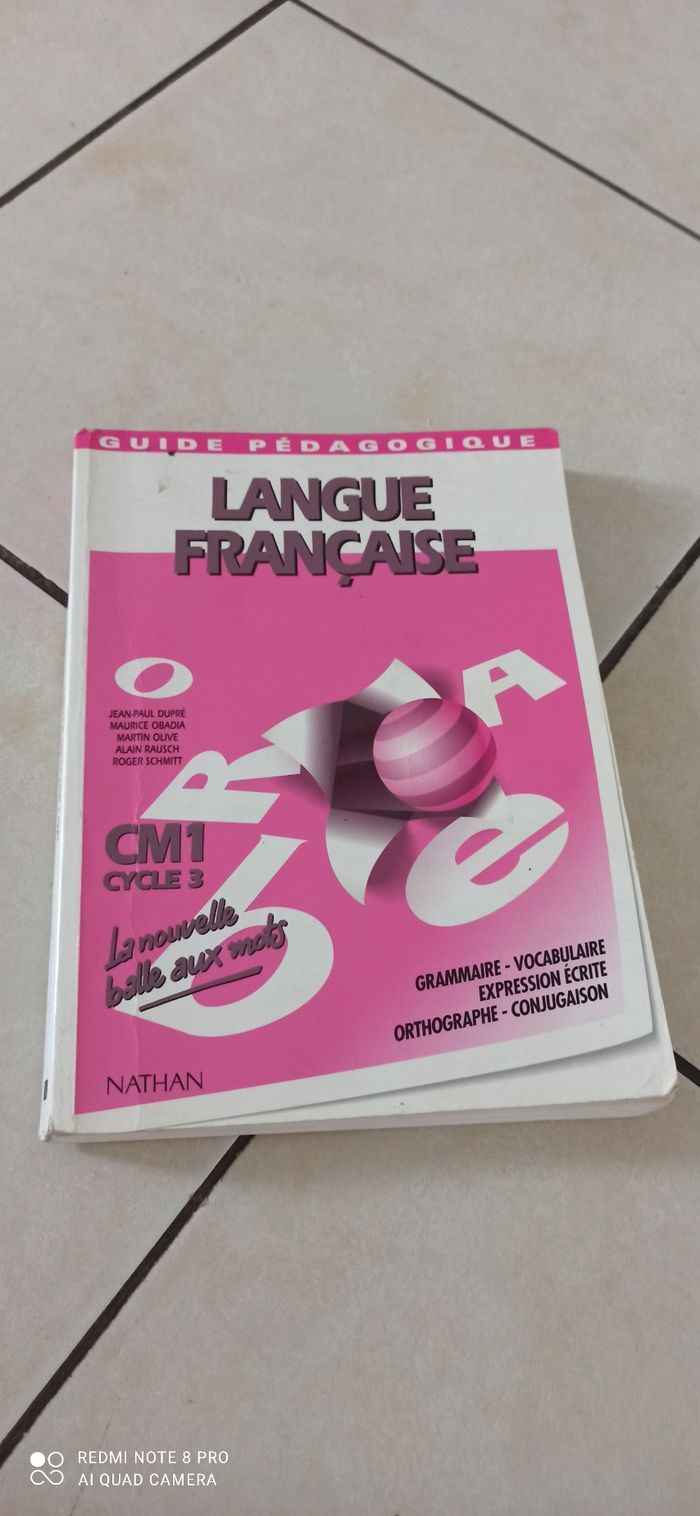 Guide pédagogique la balle aux mots cm1