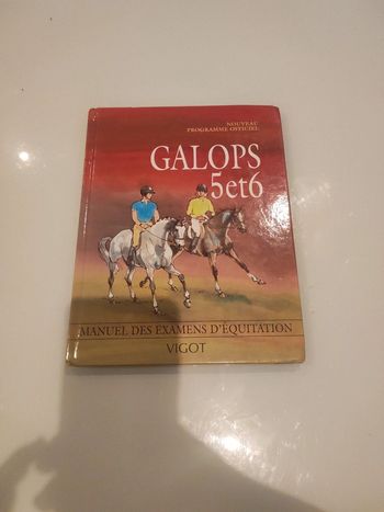 Livre galops 5 et 6