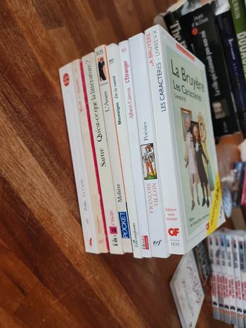 Lot de 8 livres : littérature classique