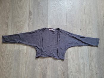 Boléro gris pailleté