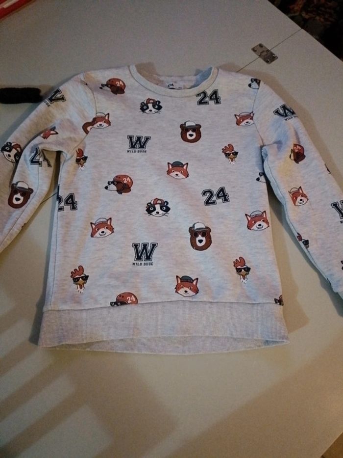 Pull c&A animaux de la forêt 10 ans