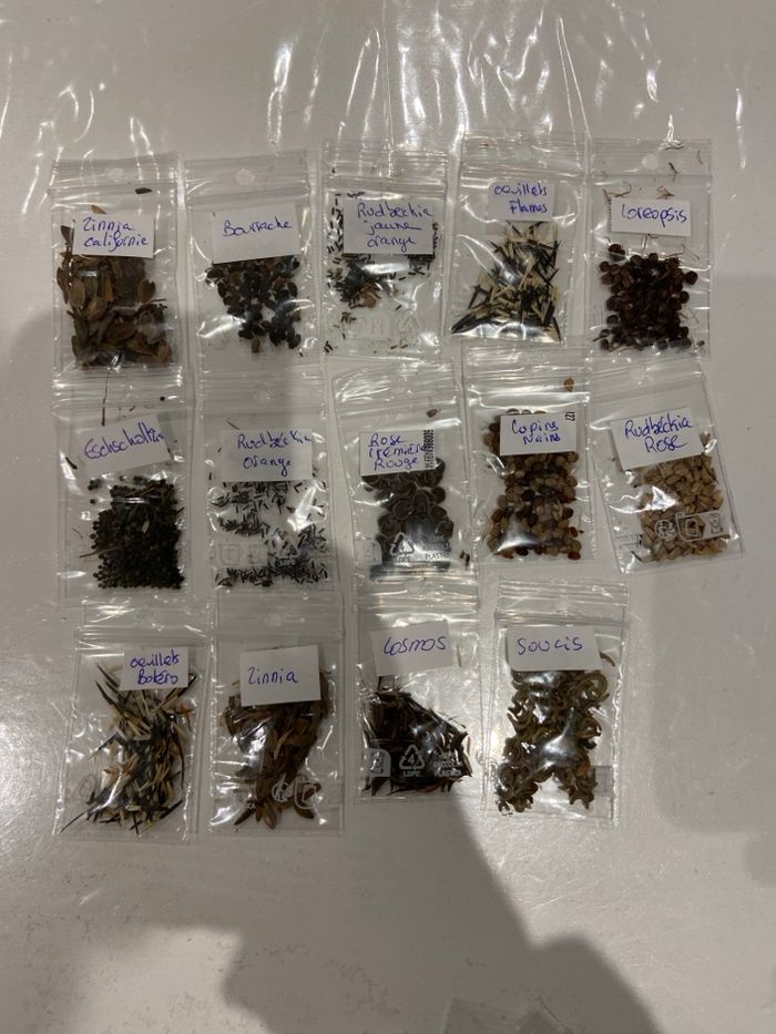 lot exceptionnel : 24 sachets de graines de fleurs – annuelles & vivaces - photo numéro 3