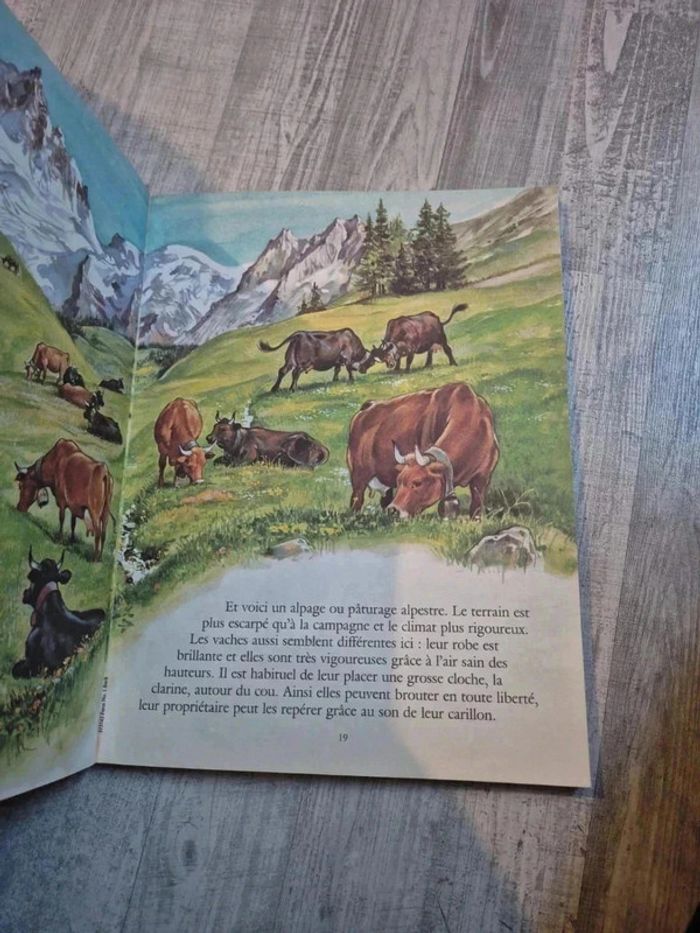 Livre - photo numéro 2
