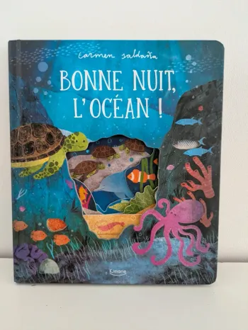 Livre bonne nuit, l'océan !