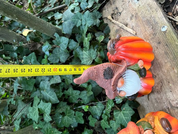 Couple de lutin gnome des forêt sur Citrouille - photo numéro 4