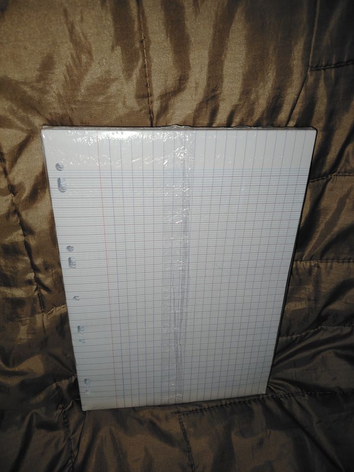 Lot 300 feuilles copies doubles oxford - photo numéro 2