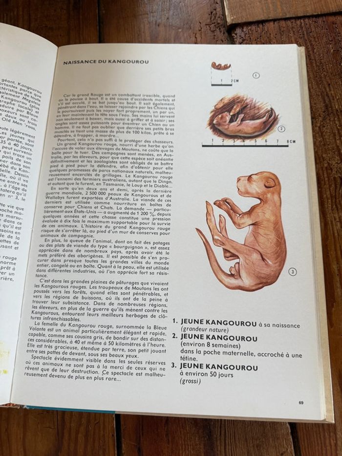 Robert Dallet Roby grand beau livre encyclopédie Faune d’Australie animaux album - photo numéro 7