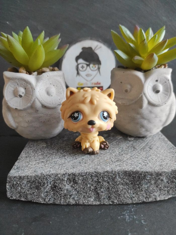 Littlest Petshop Pet Shop LPS chien chow chow hasbro 662 dog #geektradelpschien