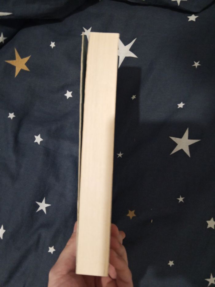 Livre (182) 📚 Sentinelle de la pluie - photo numéro 4