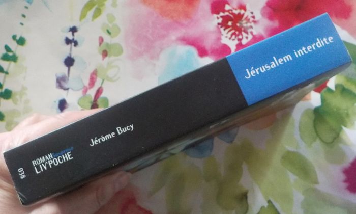 Jérusalem interdite de Jérôme Bucy Ed. Liv'Poche Suspense - photo numéro 3