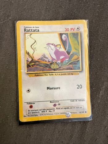 Rattata 1995