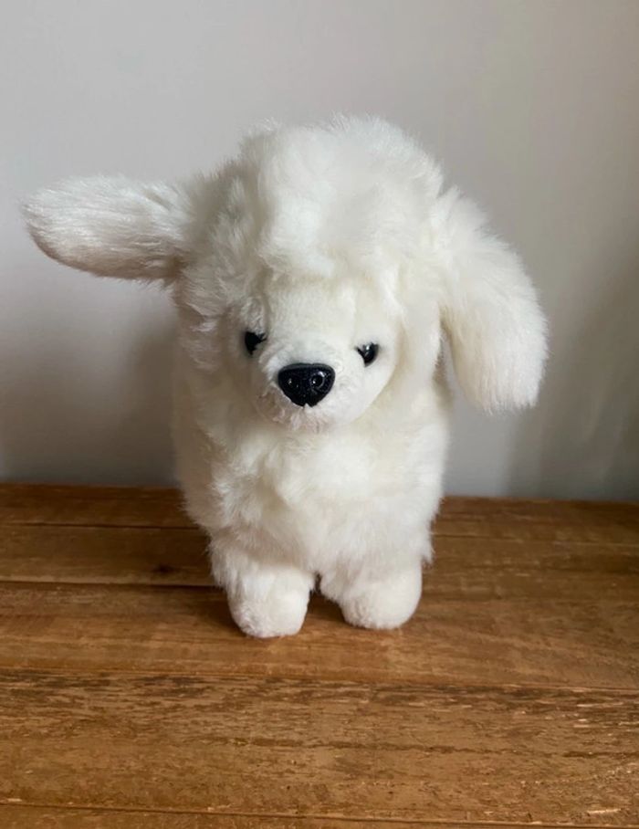 🤍 Peluche chien caniche 🐩 blanc