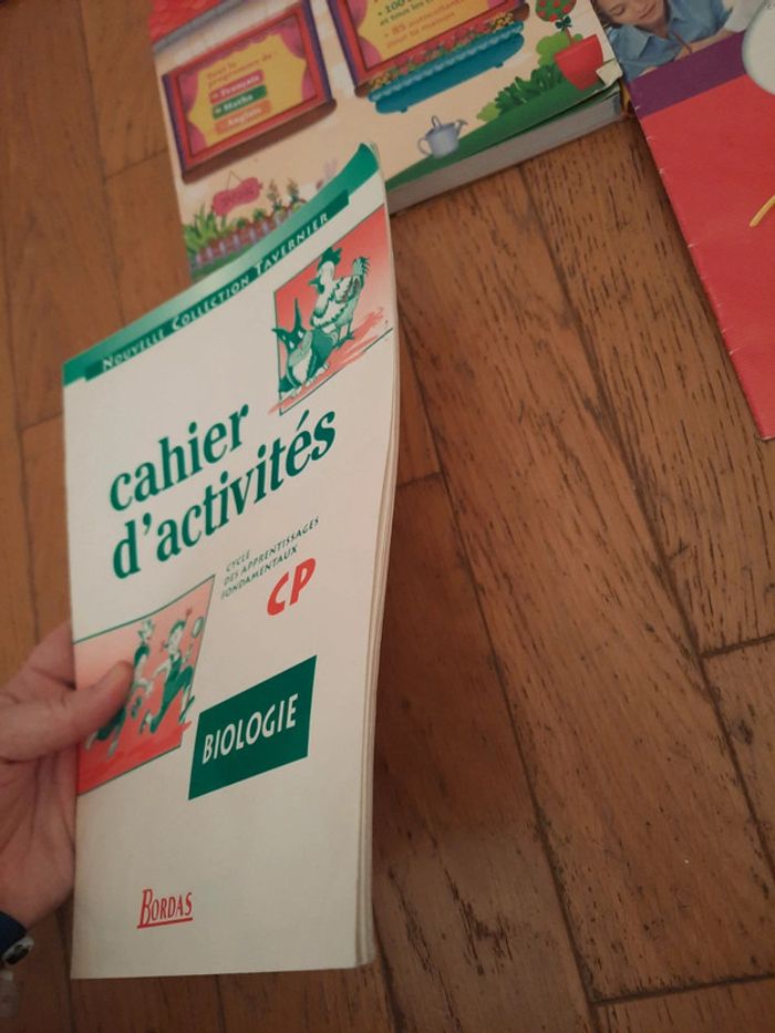 Lot niveau cp - photo numéro 2