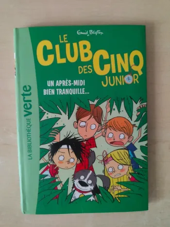 Livre Le Club des cinq Junior un après-midi bien tranquille La bibliothèque verte