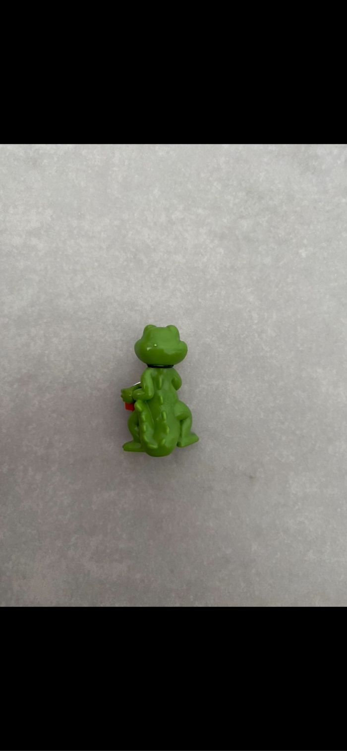 Crocodile photographe vintage - photo numéro 3