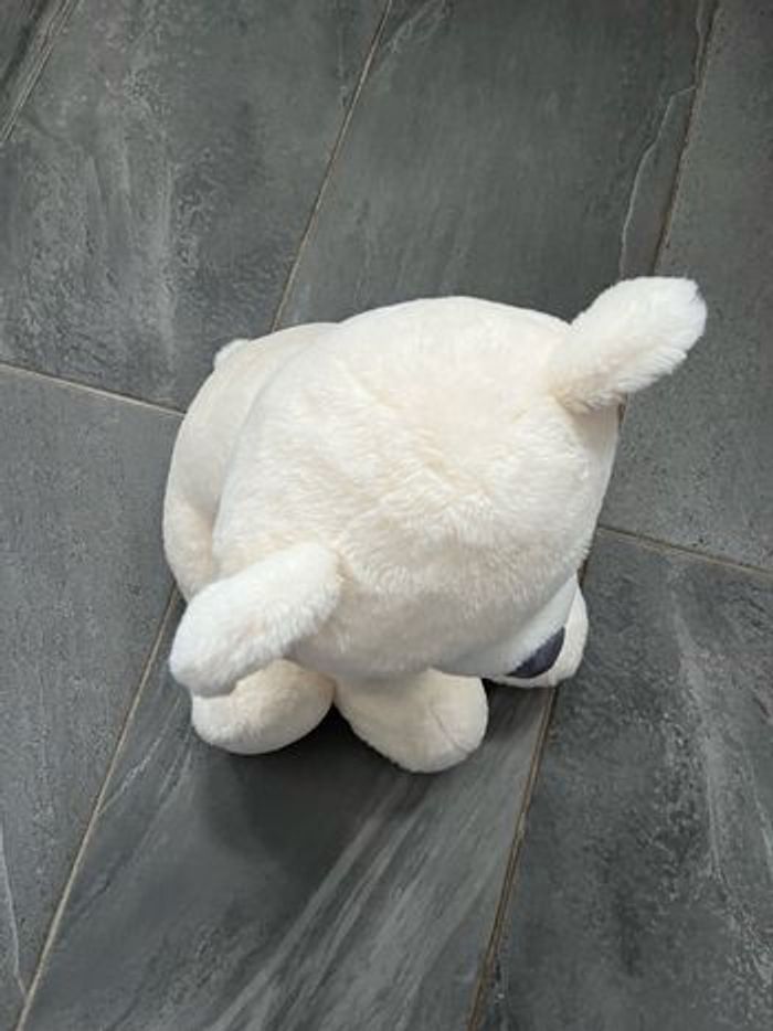 Grand ours - photo numéro 3