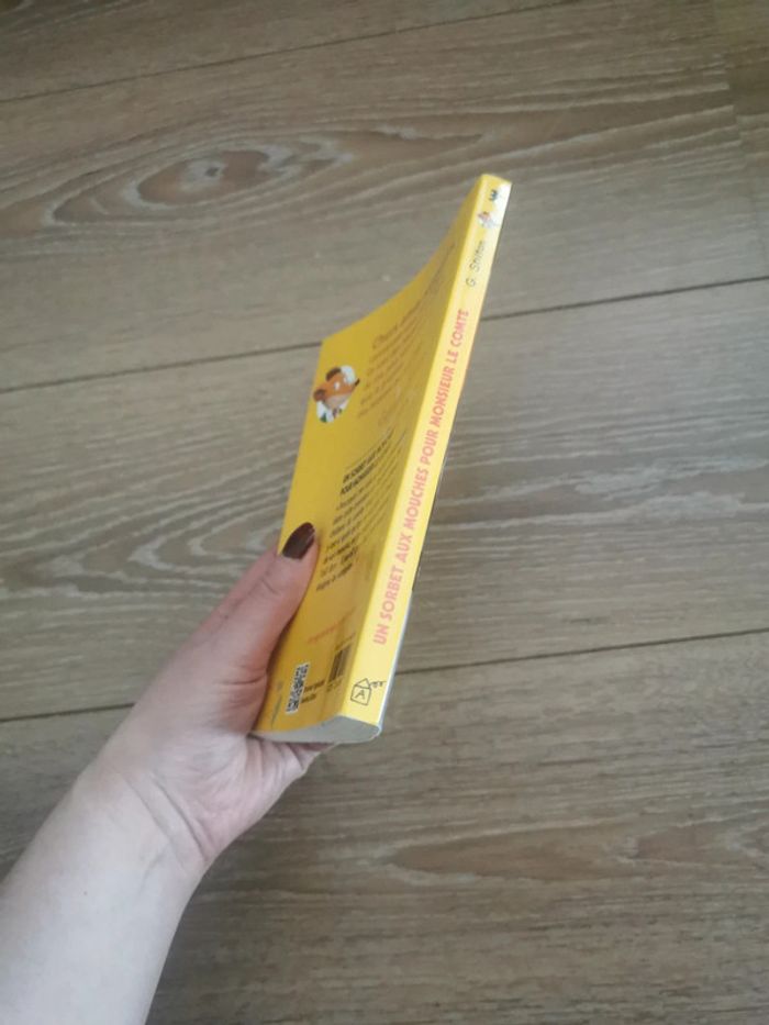 Livre geronimo stilton - photo numéro 4