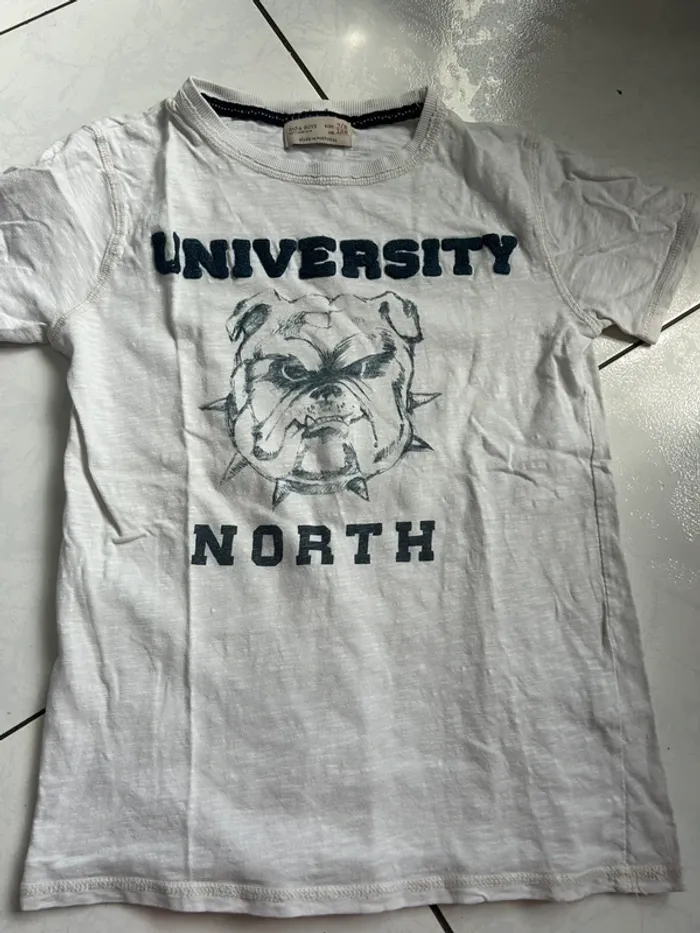 TEE shirt zara boys