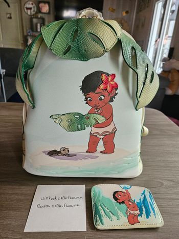 Sac et porte carte vaiana