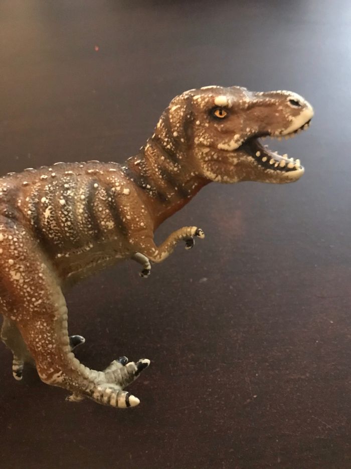 Grand Tyrannosaure 30 cm - photo numéro 2