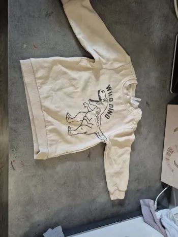 Pull dinosaure
