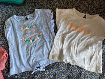 Lot de deux tee shirts Gemo