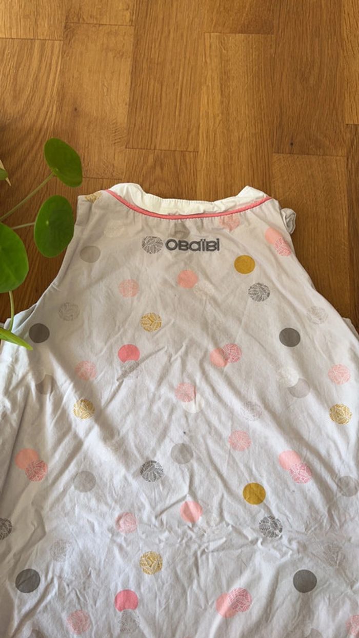 Gigoteuse obaibi - photo numéro 4