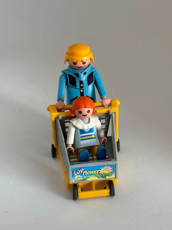 Lot playmobil