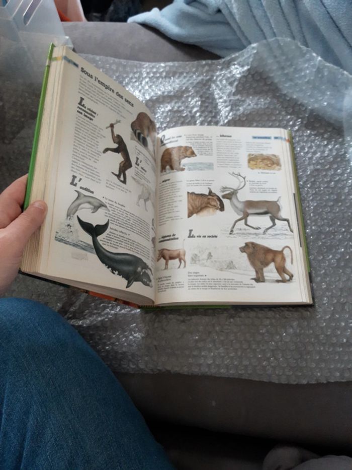 EncycloJunior - photo numéro 5