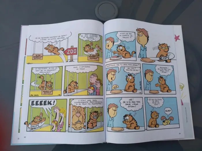 BD Garfield - photo numéro 3