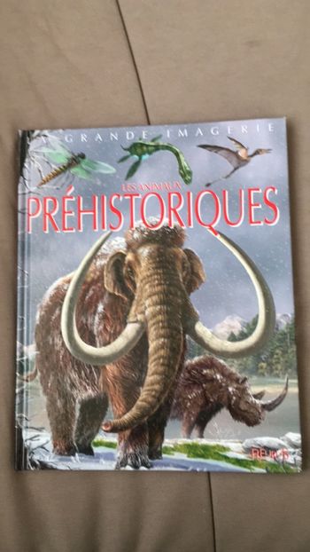 Livre la grande imagerie