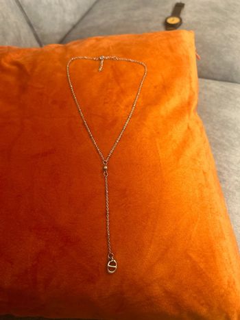 Collier long