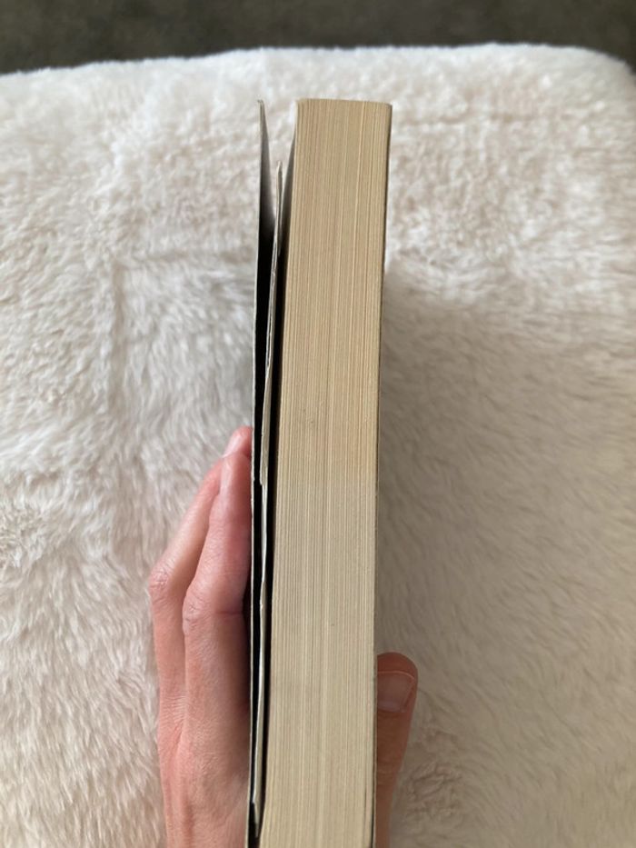 Livre De Paula Hwkins - photo numéro 4