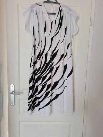 Robe zébrée parisienne Vintage