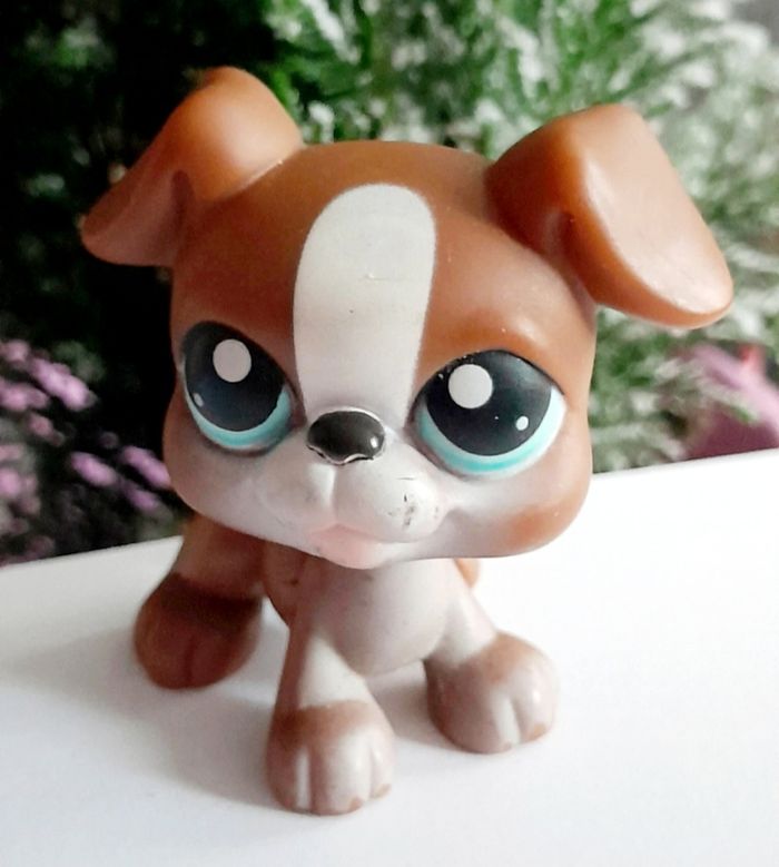 Figurine Littlest Pet Shop Chien Boxer marron foncé et blanc