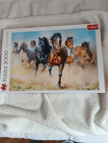 Puzzle chevaux 