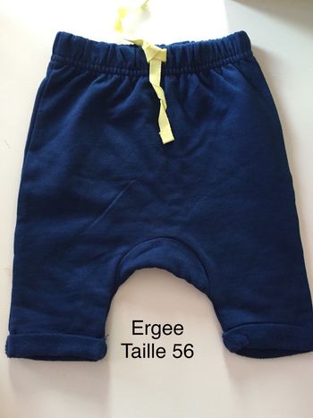 Pantalon Ergee Taille 56 neuf, jamais porté attention étiquette d’achat manquante