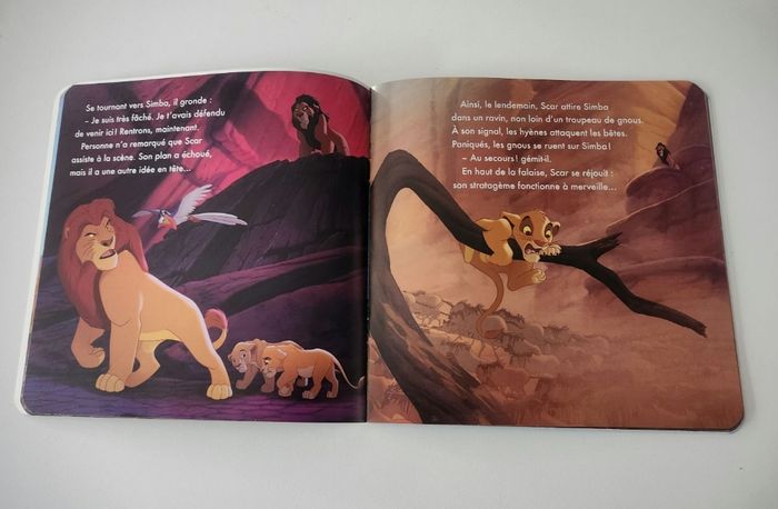 Le roi lion - photo numéro 3