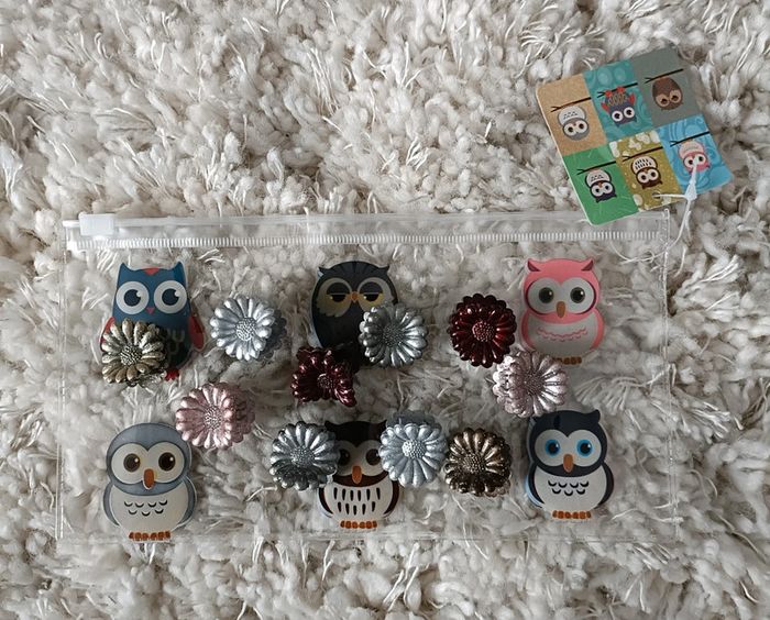 10 barrettes fleur et une trousse oiseau