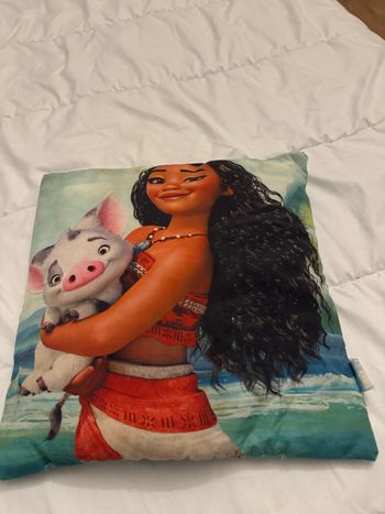 Coussin vaianna