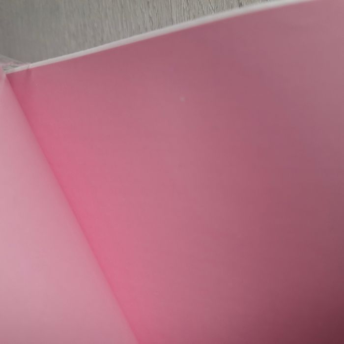 500 Étiquettes d’Expédition Autocollantes Rose 10,16 x 15,24 cm – Pour imprimante thermique - photo numéro 7