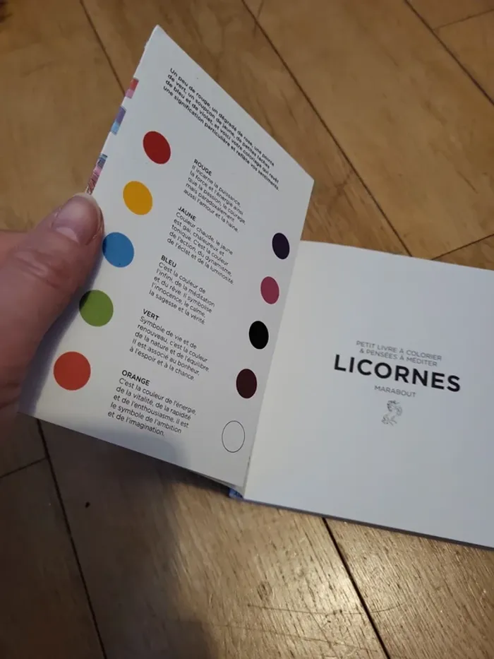 Petit livre à colorier licornes - photo numéro 5